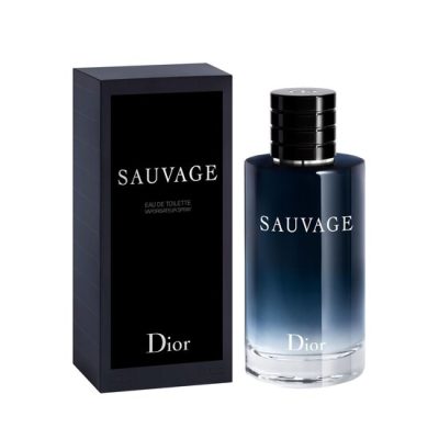 عطر ادکلن دیور ساواج-ساوج-ساواژ | Dior Sauvage 100ml