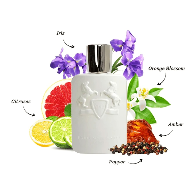 رایحه عطر مارلی گالووی